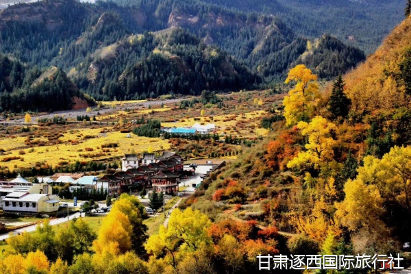 想找會講敦煌歷史的專業講解，莫高窟和陽關能安排深度講解嗎？