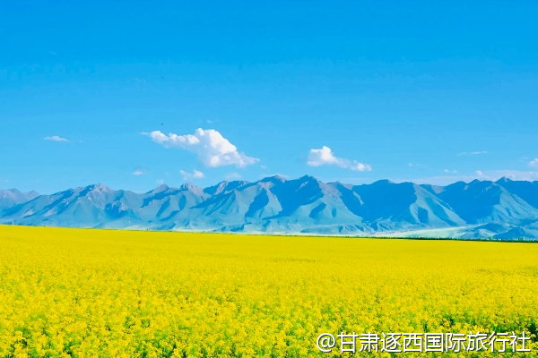 中等商業價值（可轉化為交通接駁、特色體驗、餐飲推薦）