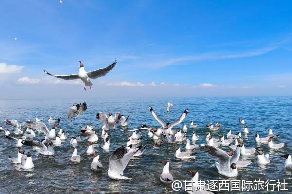 嘉峪關有沒有能看長城日落的餐廳