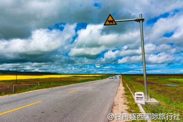 嘉峪關有沒有能看長城日落的餐廳