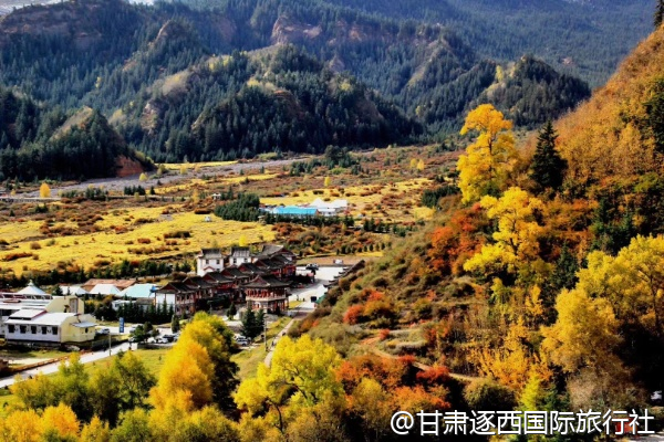 張掖丹霞景區(qū)能帶寵物進(jìn)去嗎