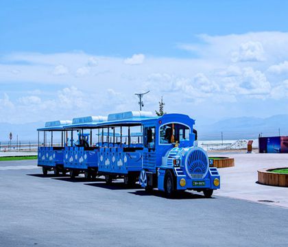 青海湖+茶卡鹽湖2日1晚私家團