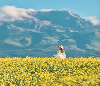 西寧+塔爾寺+青海湖+茶卡鹽湖+大冬樹山埡口+祁連大草原+卓爾山3日2晚跟團游