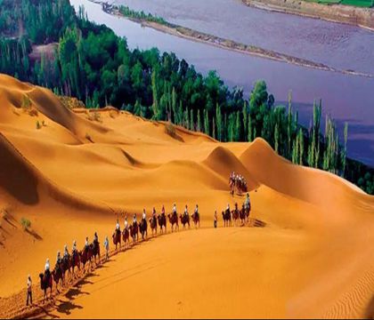 銀川+沙坡頭+鎮北堡西部影城+西夏陵國家考古遺址公園+賀蘭山風景區+沙湖生態旅游區+青銅峽黃河大峽谷+六盤山國家森林公園9日8晚私家團