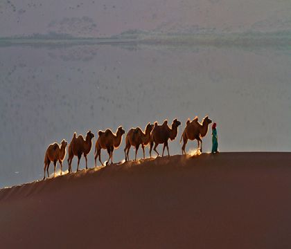 銀川+中衛5日4晚私家團