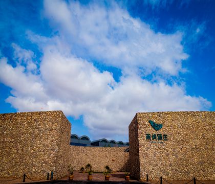 寧夏銀川3日2晚私家團