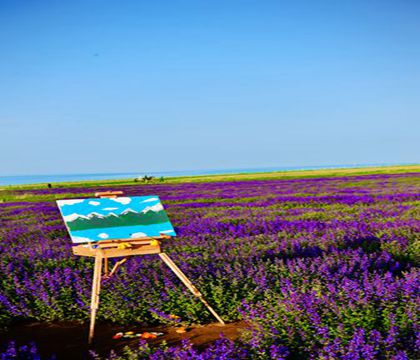 塔爾寺+祁連+茶卡鹽湖+青海湖+張掖4日3晚私家團
