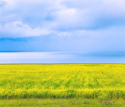 青海西寧+塔爾寺+門源+祁連+青海湖5日4晚私家團