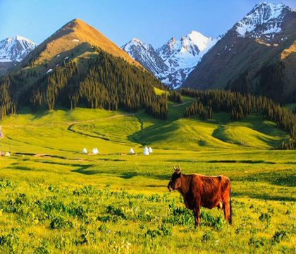 蘭州+合作+若爾蓋+郎木寺+扎尕那+拉卜楞寺4日3晚私家團